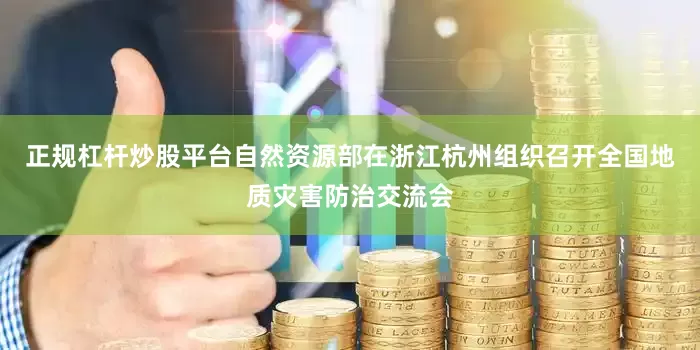 正规杠杆炒股平台自然资源部在浙江杭州组织召开全国地质灾害防治交流会
