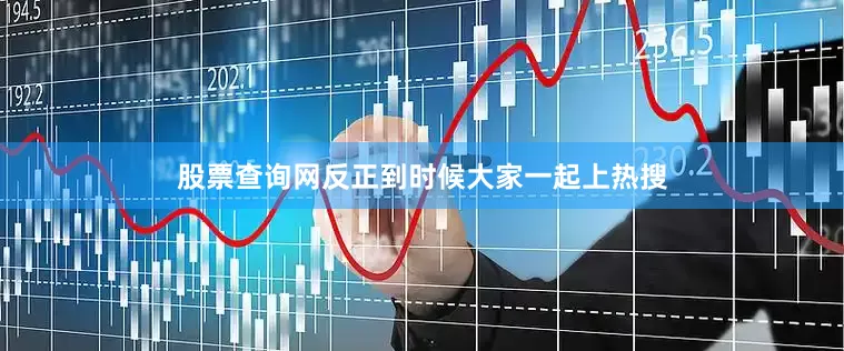 股票查询网反正到时候大家一起上热搜