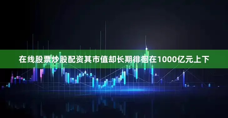 在线股票炒股配资其市值却长期徘徊在1000亿元上下